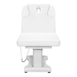 Tranquility 4 Motors Electric Medical Spa Treatment Table